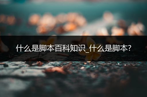 什么是脚本百科知识_什么是脚本?