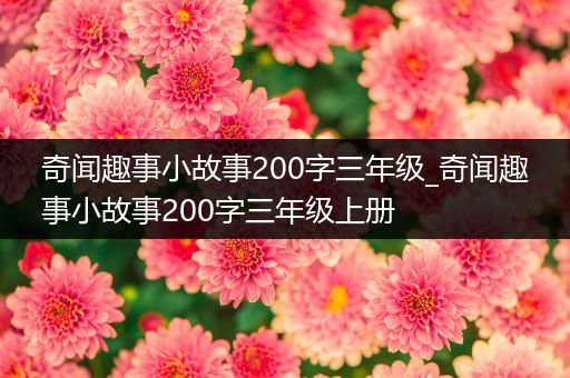 奇闻趣事小故事200字三年级_奇闻趣事小故事200字三年级上册