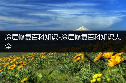 涂层修复百科知识-涂层修复百科知识大全