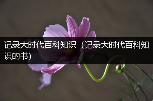 记录大时代百科知识（记录大时代百科知识的书）