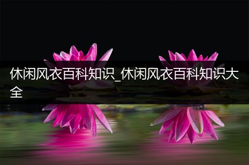 休闲风衣百科知识_休闲风衣百科知识大全