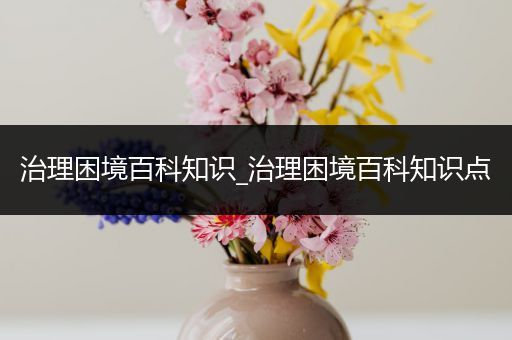 治理困境百科知识_治理困境百科知识点