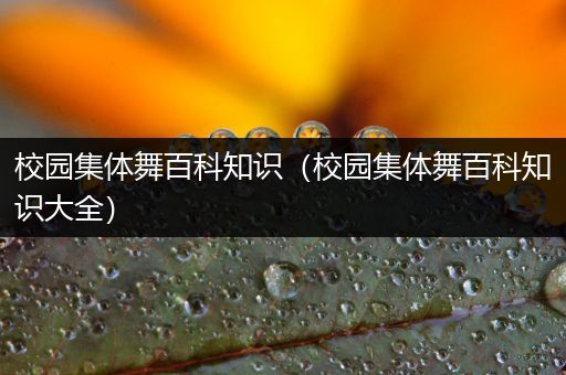 校园集体舞百科知识（校园集体舞百科知识大全）