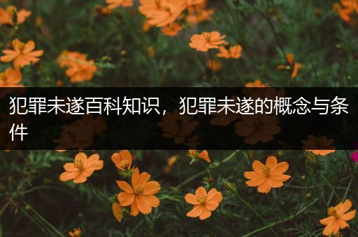 犯罪未遂百科知识，犯罪未遂的概念与条件