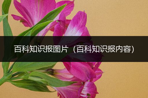 百科知识报图片（百科知识报内容）
