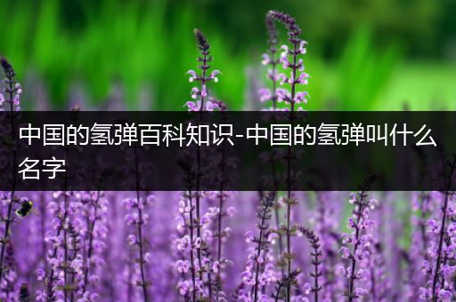 中国的氢弹百科知识-中国的氢弹叫什么名字