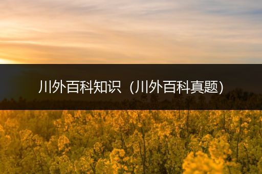 川外百科知识（川外百科真题）