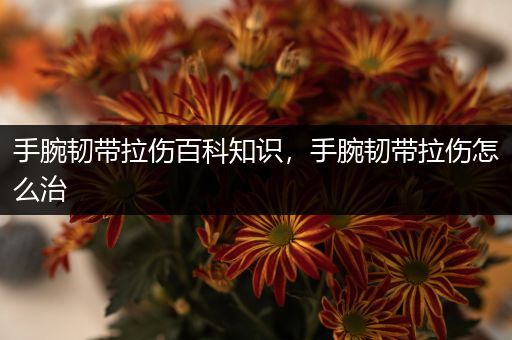 手腕韧带拉伤百科知识，手腕韧带拉伤怎么治