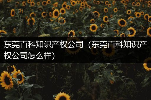 东莞百科知识产权公司（东莞百科知识产权公司怎么样）