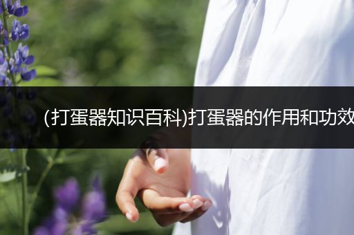 （打蛋器知识百科)打蛋器的作用和功效