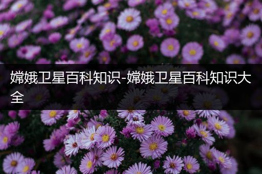 嫦娥卫星百科知识-嫦娥卫星百科知识大全