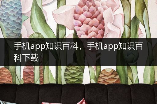 手机app知识百科，手机app知识百科下载