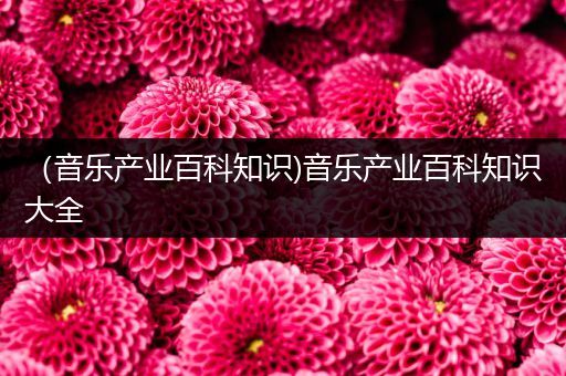 （音乐产业百科知识)音乐产业百科知识大全