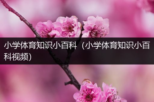 小学体育知识小百科（小学体育知识小百科视频）