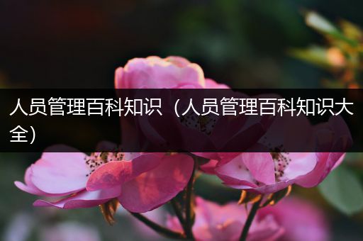 人员管理百科知识（人员管理百科知识大全）