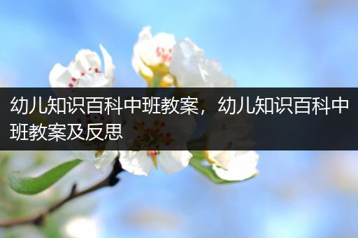 幼儿知识百科中班教案，幼儿知识百科中班教案及反思