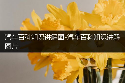 汽车百科知识讲解图-汽车百科知识讲解图片