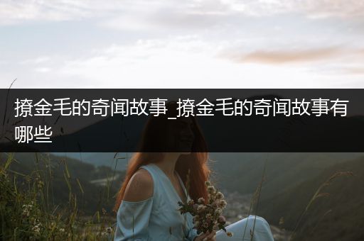 撩金毛的奇闻故事_撩金毛的奇闻故事有哪些