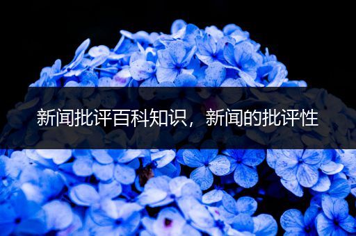 新闻批评百科知识，新闻的批评性