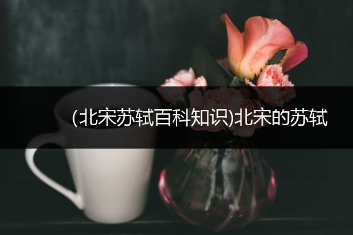 （北宋苏轼百科知识)北宋的苏轼