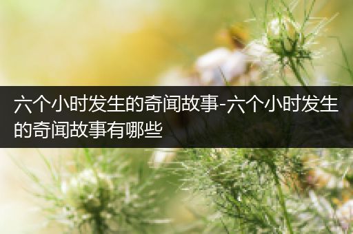 六个小时发生的奇闻故事-六个小时发生的奇闻故事有哪些