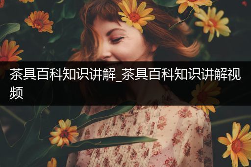 茶具百科知识讲解_茶具百科知识讲解视频