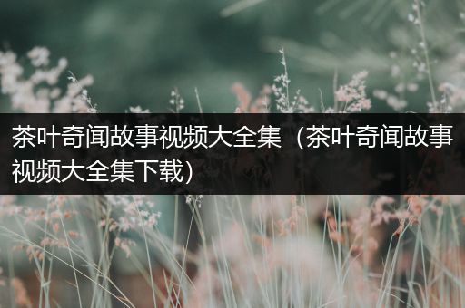 茶叶奇闻故事视频大全集（茶叶奇闻故事视频大全集下载）