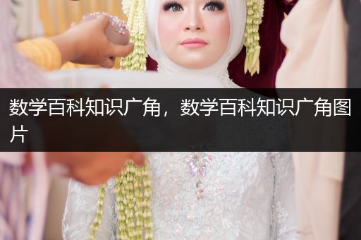 数学百科知识广角，数学百科知识广角图片