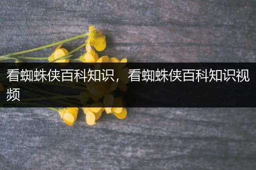 看蜘蛛侠百科知识，看蜘蛛侠百科知识视频