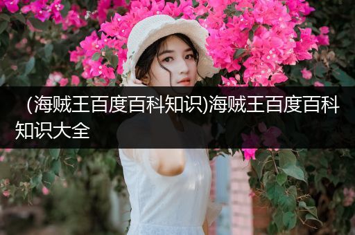 （海贼王百度百科知识)海贼王百度百科知识大全