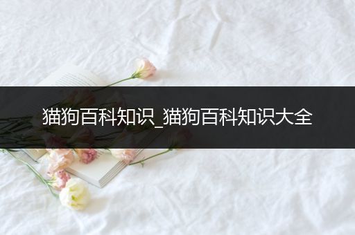 猫狗百科知识_猫狗百科知识大全