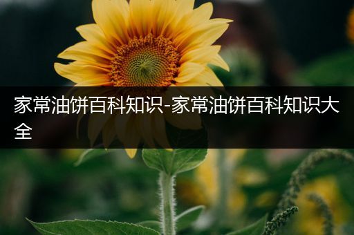 家常油饼百科知识-家常油饼百科知识大全