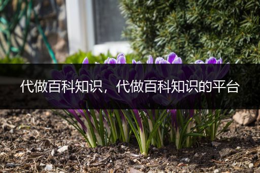 代做百科知识，代做百科知识的平台
