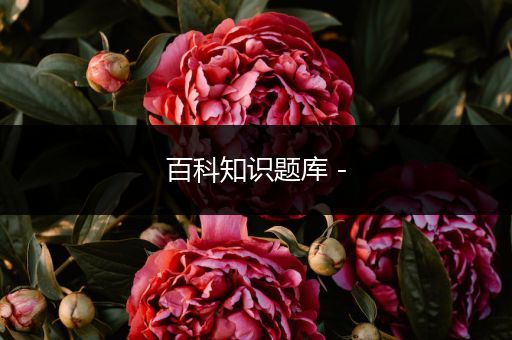 百科知识题库 -