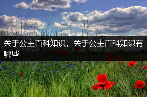 关于公主百科知识，关于公主百科知识有哪些