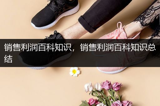 销售利润百科知识，销售利润百科知识总结