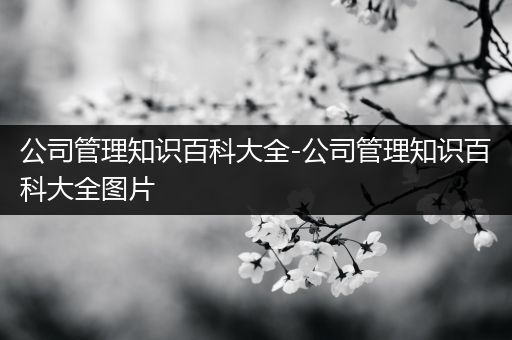 公司管理知识百科大全-公司管理知识百科大全图片