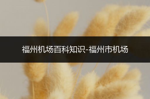 福州机场百科知识-福州市机场