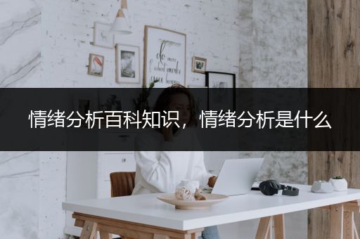 情绪分析百科知识，情绪分析是什么