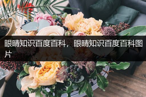 眼睛知识百度百科，眼睛知识百度百科图片