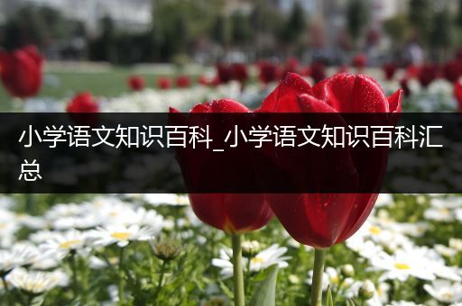 小学语文知识百科_小学语文知识百科汇总