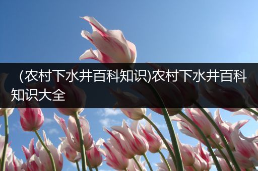 （农村下水井百科知识)农村下水井百科知识大全