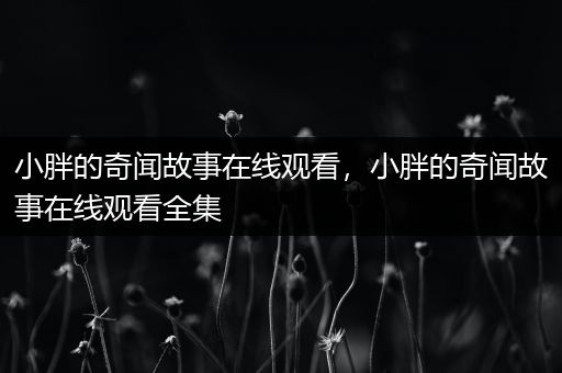 小胖的奇闻故事在线观看，小胖的奇闻故事在线观看全集