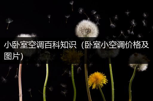 小卧室空调百科知识（卧室小空调价格及图片）