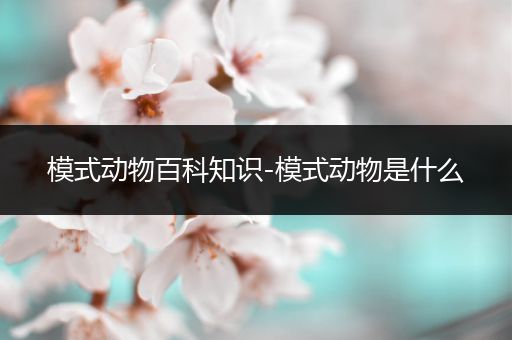 模式动物百科知识-模式动物是什么