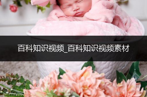 百科知识视频_百科知识视频素材