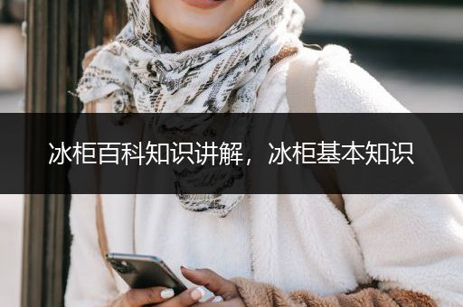 冰柜百科知识讲解，冰柜基本知识