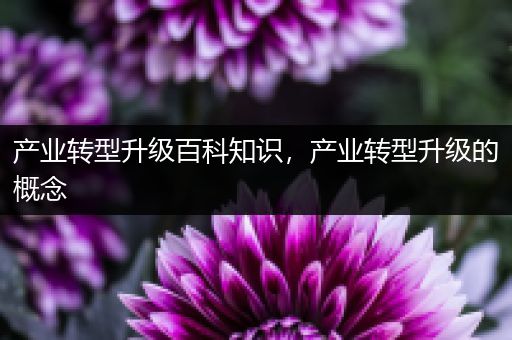 产业转型升级百科知识，产业转型升级的概念
