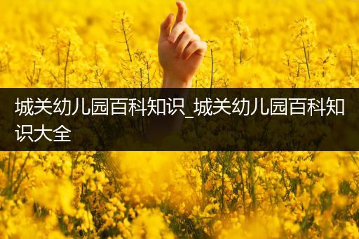 城关幼儿园百科知识_城关幼儿园百科知识大全