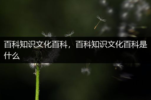 百科知识文化百科，百科知识文化百科是什么